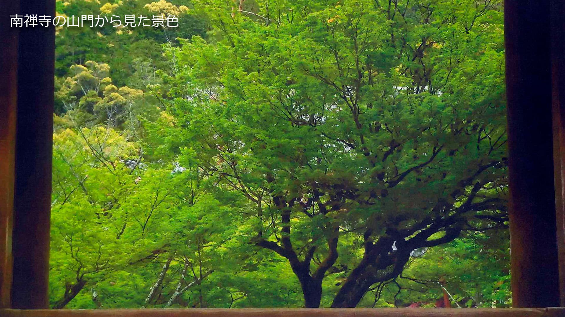 南禅寺の山門から見た景色